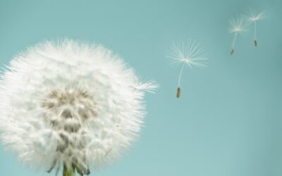 Karriere Coaching 50+