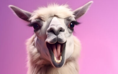 Die Sache mit dem Glück: Wege zur Zufriedenheit im Alltag